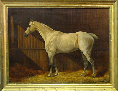 A  Portrait of a Horse