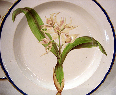 Ceramics<br>Ceramics Archives<br>SOLD  An English Creamware Botanical Plate