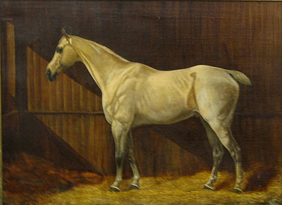 A  Portrait of a Horse