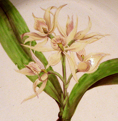 SOLD  An English Creamware Botanical Plate