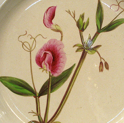 SOLD  An English Creamware Botanical Plate