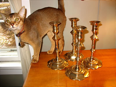 Metalware<br>Archives<br>Rare Set of Four Queen Anne Petal-Base Candlesticks