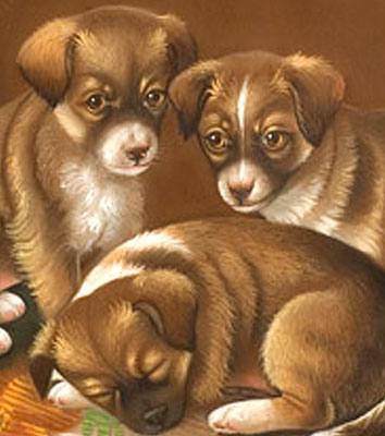 SOLD Portrait of Three Puppies