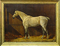 A  Portrait of a Horse