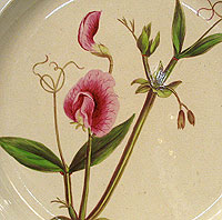 SOLD  An English Creamware Botanical Plate